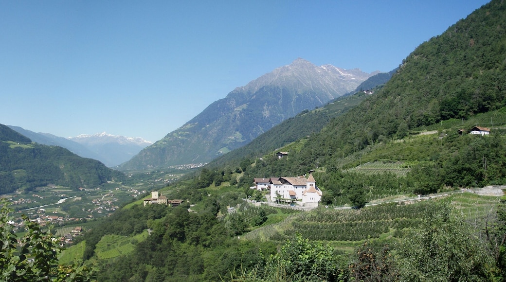 Alpine scenery at the Bird Care Centre of Castel Tyrol