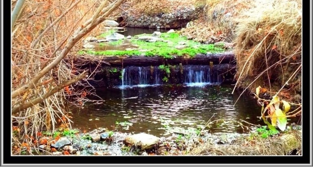 Just next to the little bridge that leads into the grounds, left side.