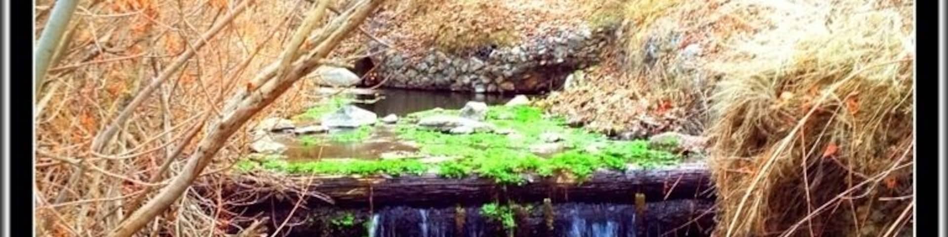 Just next to the little bridge that leads into the grounds, left side.