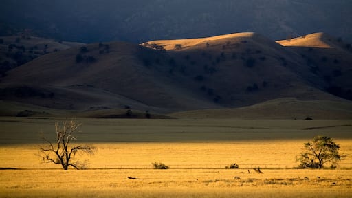 First light on the San Joaquin Valley grasslands on the Tejon Ranch, California.