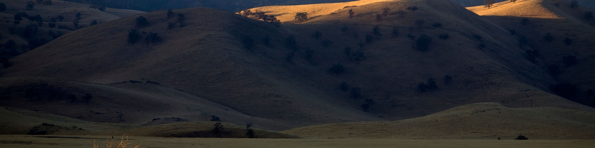 First light on the San Joaquin Valley grasslands on the Tejon Ranch, California.