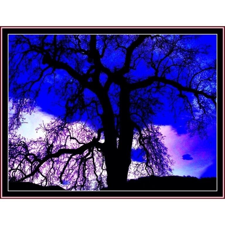 Grounds of the fort #treetrove