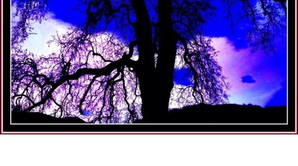 Grounds of the fort #treetrove