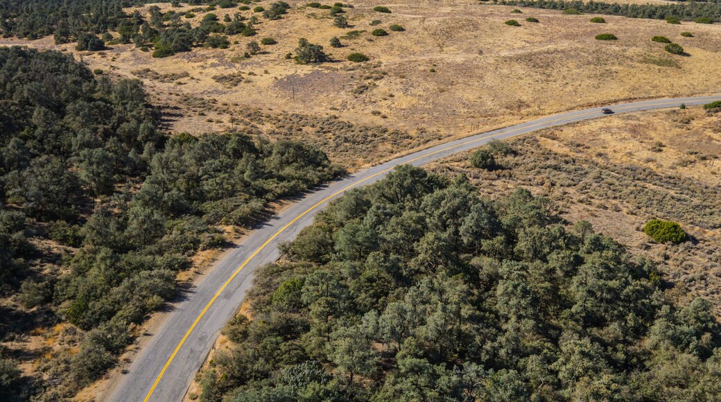 Long right turn bend in California road through public land in the Los Padres National Forest.