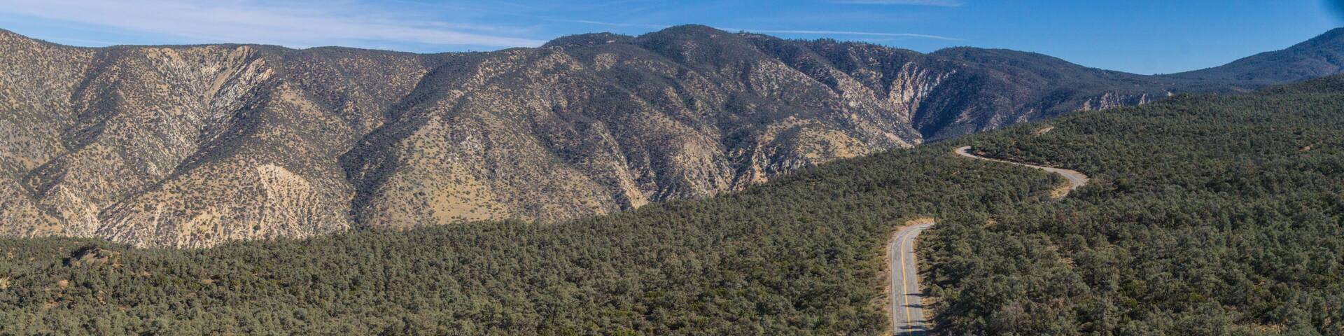 Long asphalt ribbon of road leads through the woods of Los Padres National Forest.