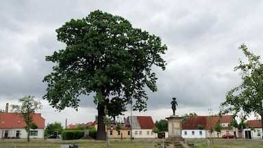 JĂŒterbog in Brandenburg. Der Platz ist der Mittelpunkt des Ortsteils Kloster Zinna und der Webersiedlung. Der Platz ist Teil der Webersiedlung und somit denkmalgeschĂŒtzt. ZusĂ€tzlich ist die Friedenseiche ein Naturdenkmal. Rechts von der Friedenseiche befindet sich ein Denkmal fĂŒr Friedrich II., dem GrĂŒnder der Webersiedlung.