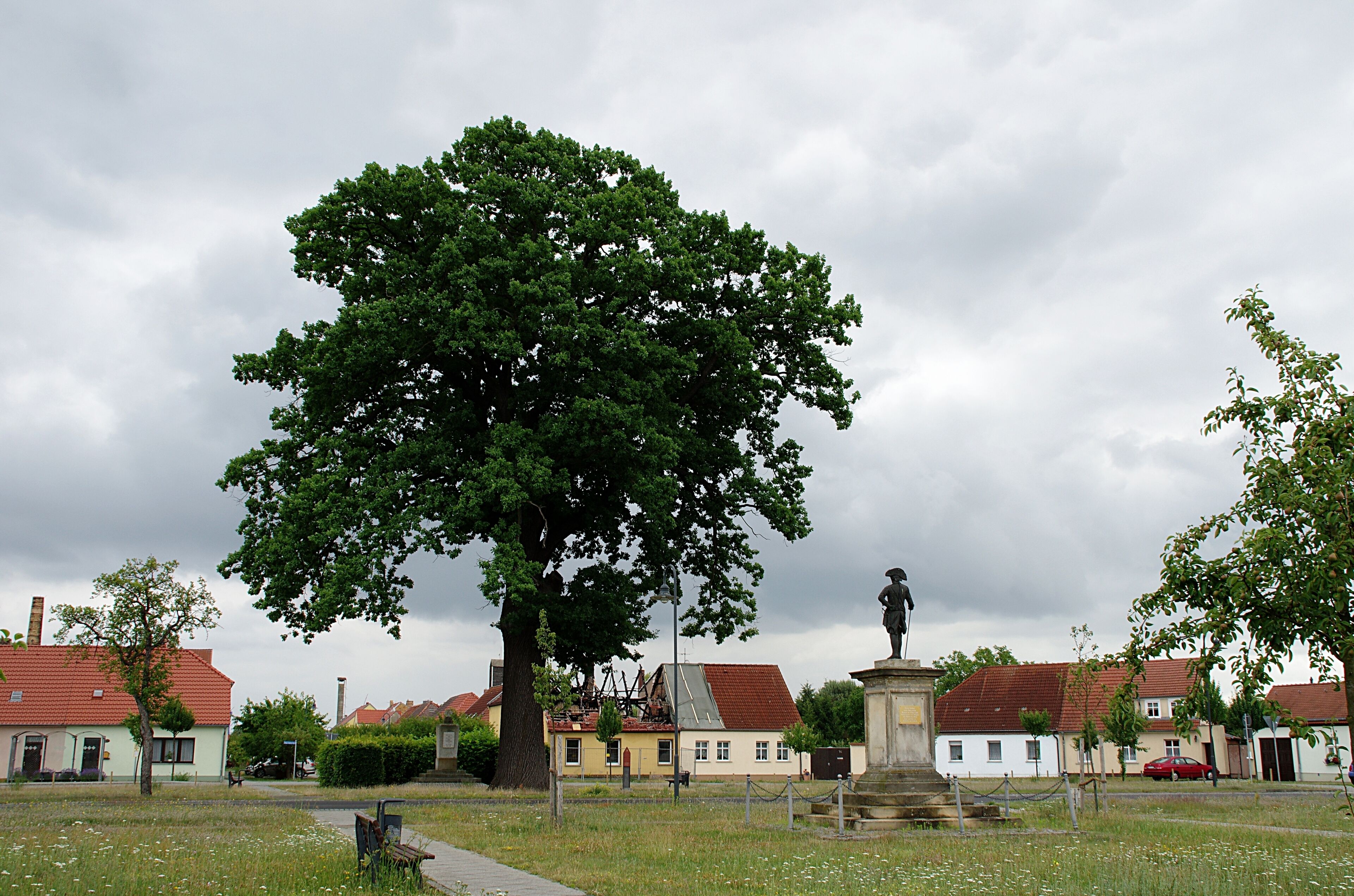 A large tree in a park with a statue in the foreground and houses in the background.