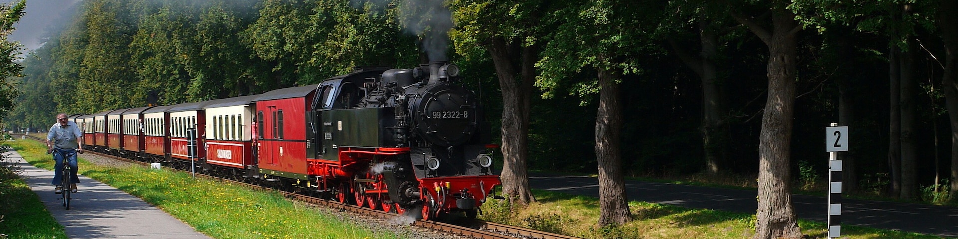 The Molli at Rennbahn.