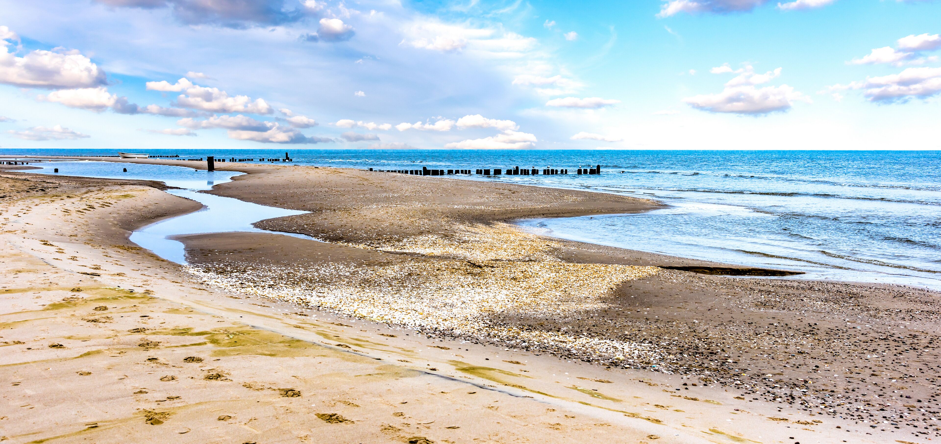A beach with a curved shoreline, waves, and a distant pier.