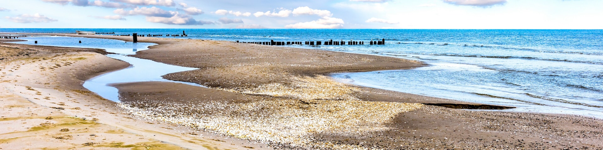 A beach with a curved shoreline, waves, and a distant pier.