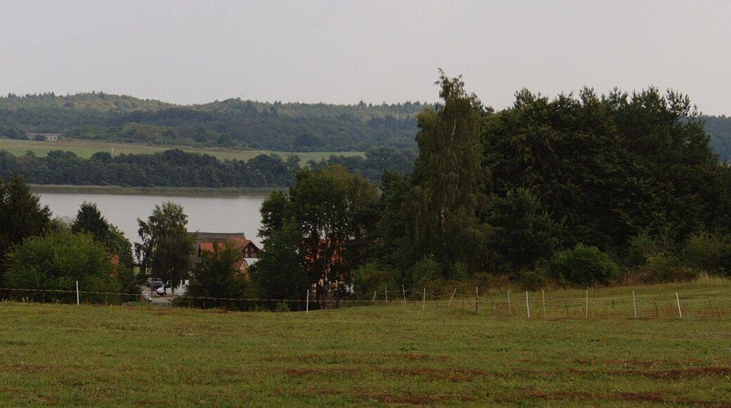 Jezioro Gothensee, część północna, widok od zachodu