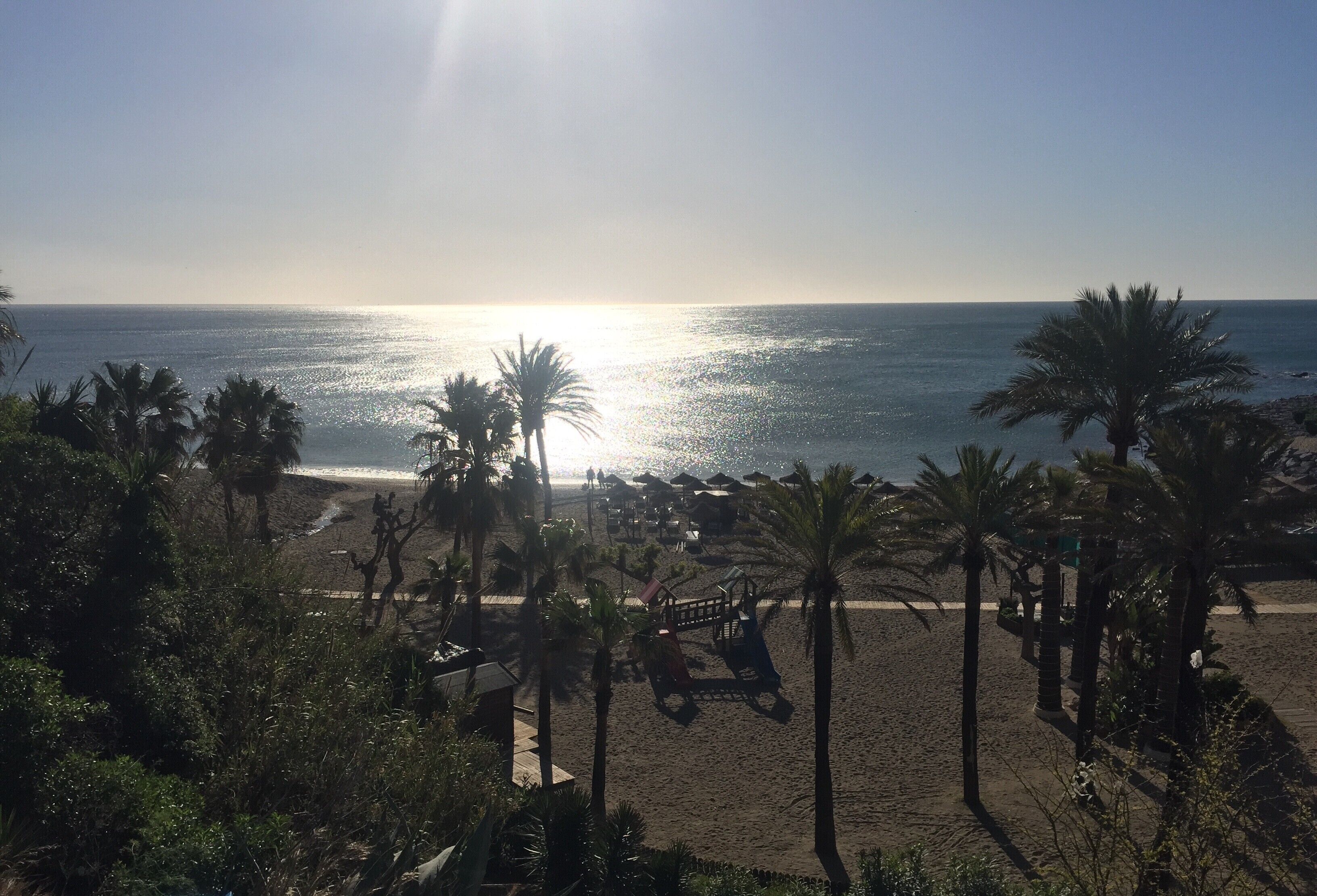 morning sunrise in Benalmádena #LifeAtExpedia #PalmTrees #Beach #Spain