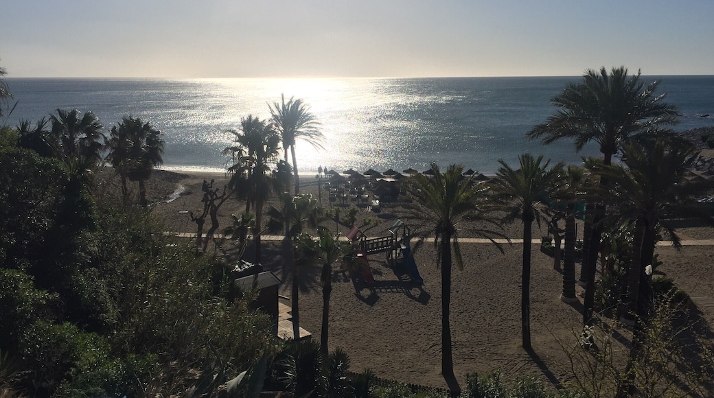 morning sunrise in Benalmádena #LifeAtExpedia #PalmTrees #Beach #Spain