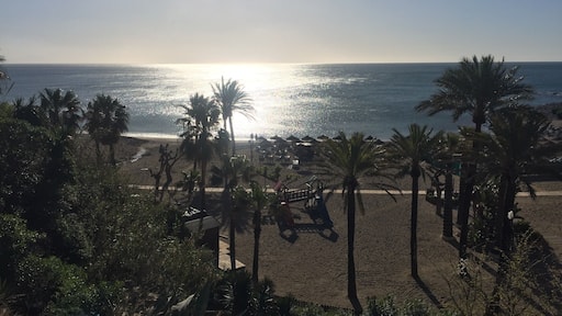 morning sunrise in Benalmádena #LifeAtExpedia #PalmTrees #Beach #Spain