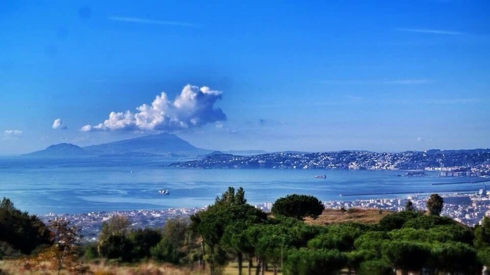 The view of Naples city from the top of Mt. Vesuvius with Horse Riding Tour, Naples team in the national park of Vesuvius...
#NationalPark