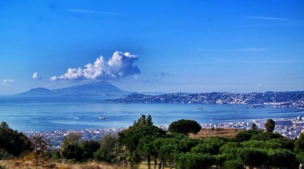 The view of Naples city from the top of Mt. Vesuvius with Horse Riding Tour, Naples team in the national park of Vesuvius...
#NationalPark