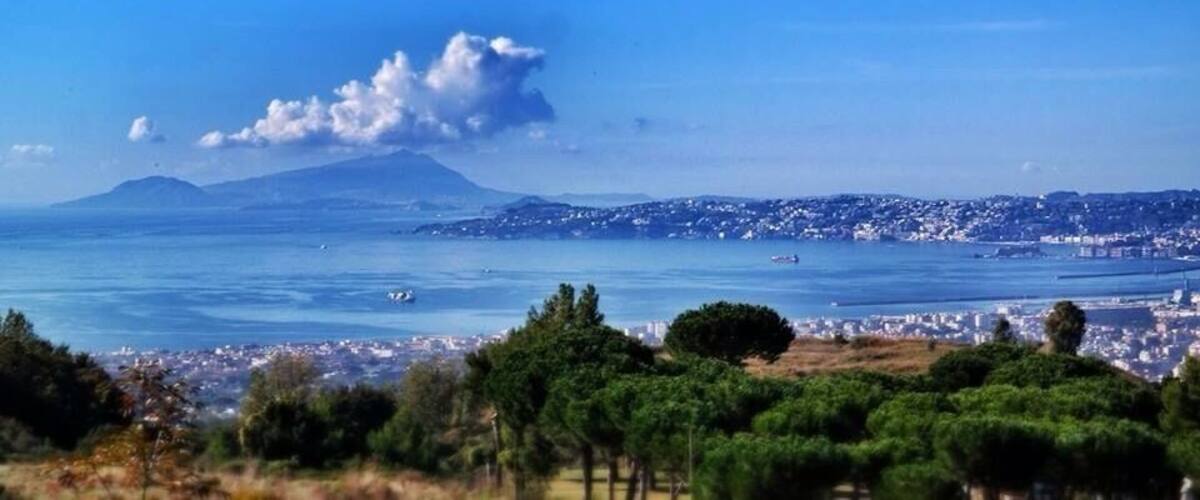 The view of Naples city from the top of Mt. Vesuvius with Horse Riding Tour, Naples team in the national park of Vesuvius...
#NationalPark