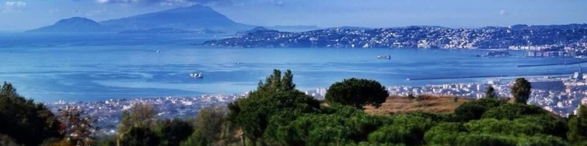 The view of Naples city from the top of Mt. Vesuvius with Horse Riding Tour, Naples team in the national park of Vesuvius...
#NationalPark