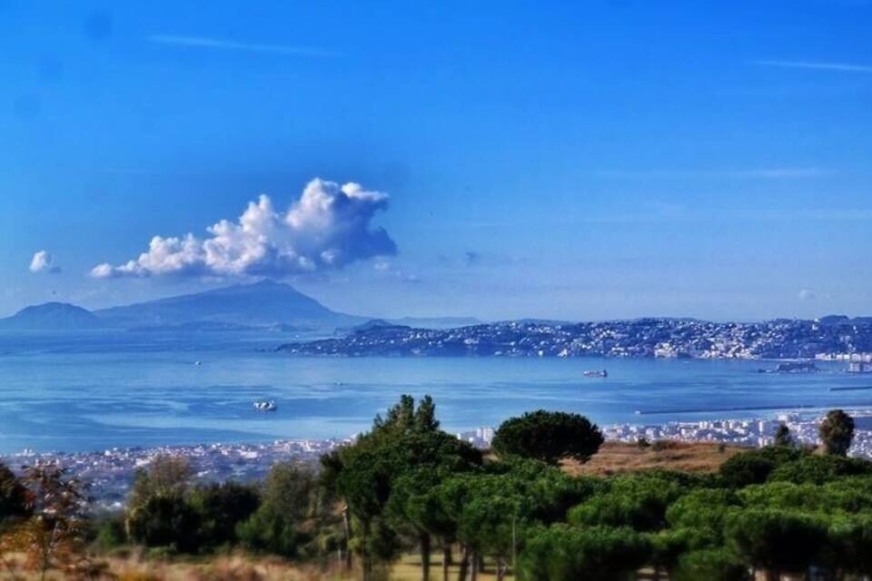 A coastal cityscape with a mountain in the background and a clear sky.