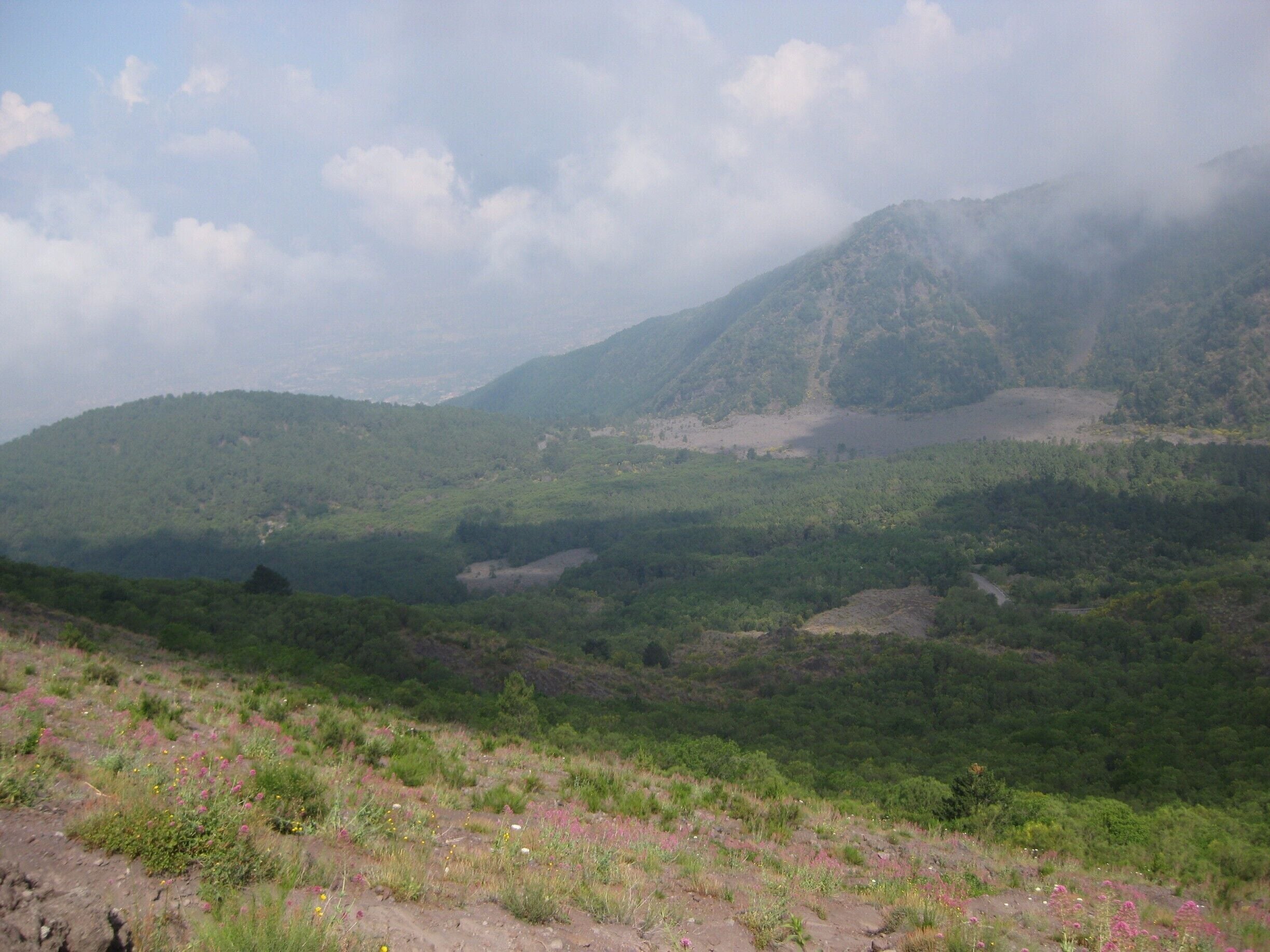 View as you walk up Mount Vesuvius
-2013