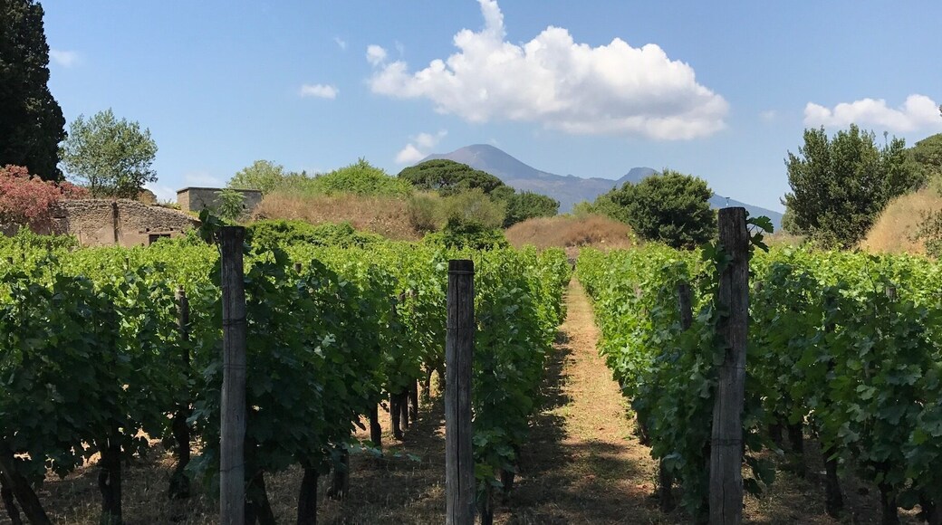 View of Mount Vesuvius from the ruins of Pompeii