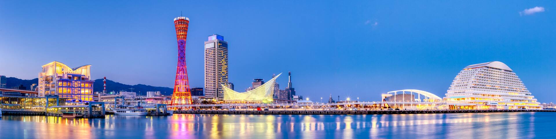 A city skyline with illuminated buildings, a tall tower, and a waterfront.
