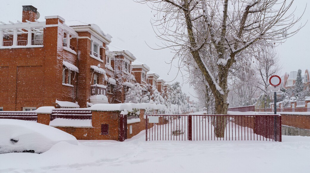 Streets and buildings covered in snow by day due to snowstorm Filomena falling in Madrid Spain