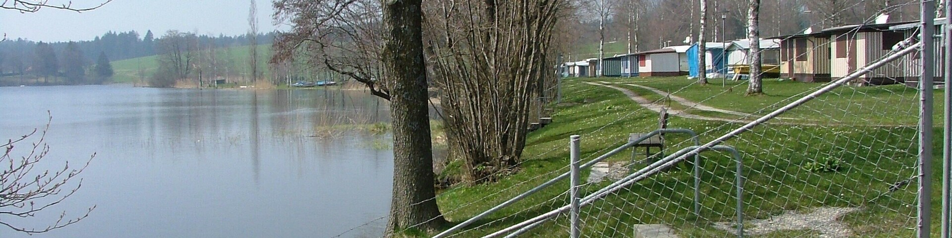 Vista de un lago con una escalera de hormigón que baja hacia el agua, rodeado de árboles y una valla.