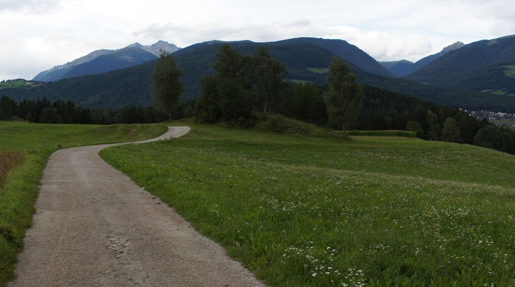 39031 Bruneck, Province of Bolzano - South Tyrol, Italy