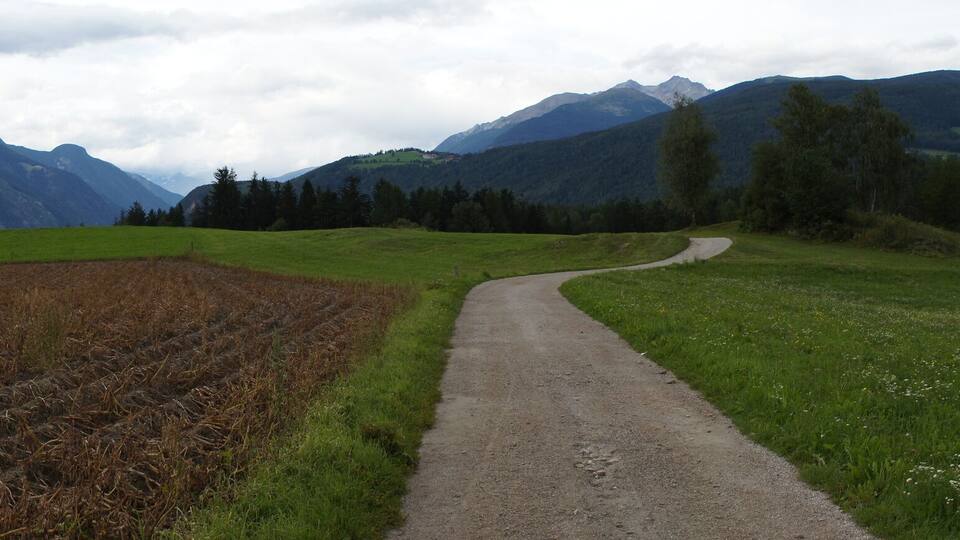 A rural landscape with a dirt path, fields, and mountains in the background.