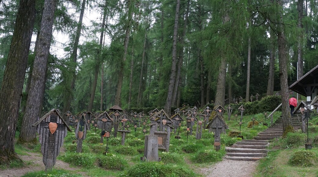 In Bruneck (South Tyrol, Italy) sits a small cemetry for the killed in action of the last wars!
