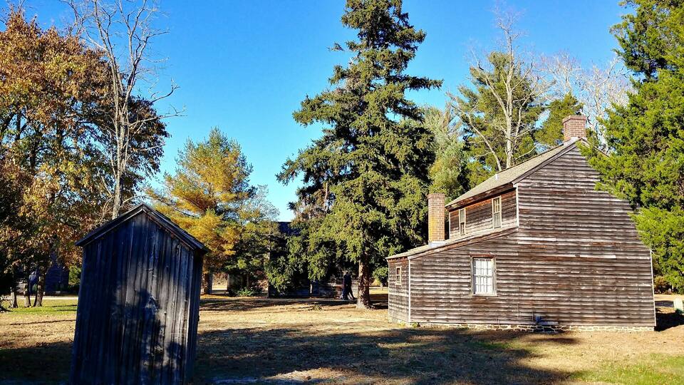 A rustic wooden cabin with a small shed in a wooded area.