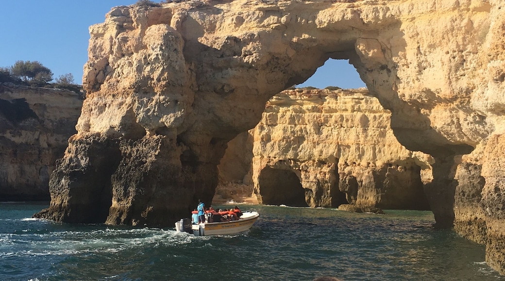 Amazing experience...