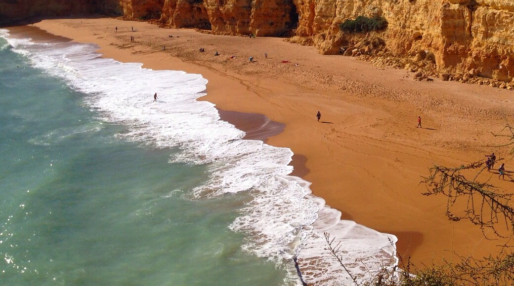 "We ourselves feel that what we are doing is just a drop in the ocean. But the ocean would be less because of that missing drop." Mother Teresa
#alifefullofserendipity #serendipitytess #travel #inspiration #quote #portugal #algarve #ocean #sea