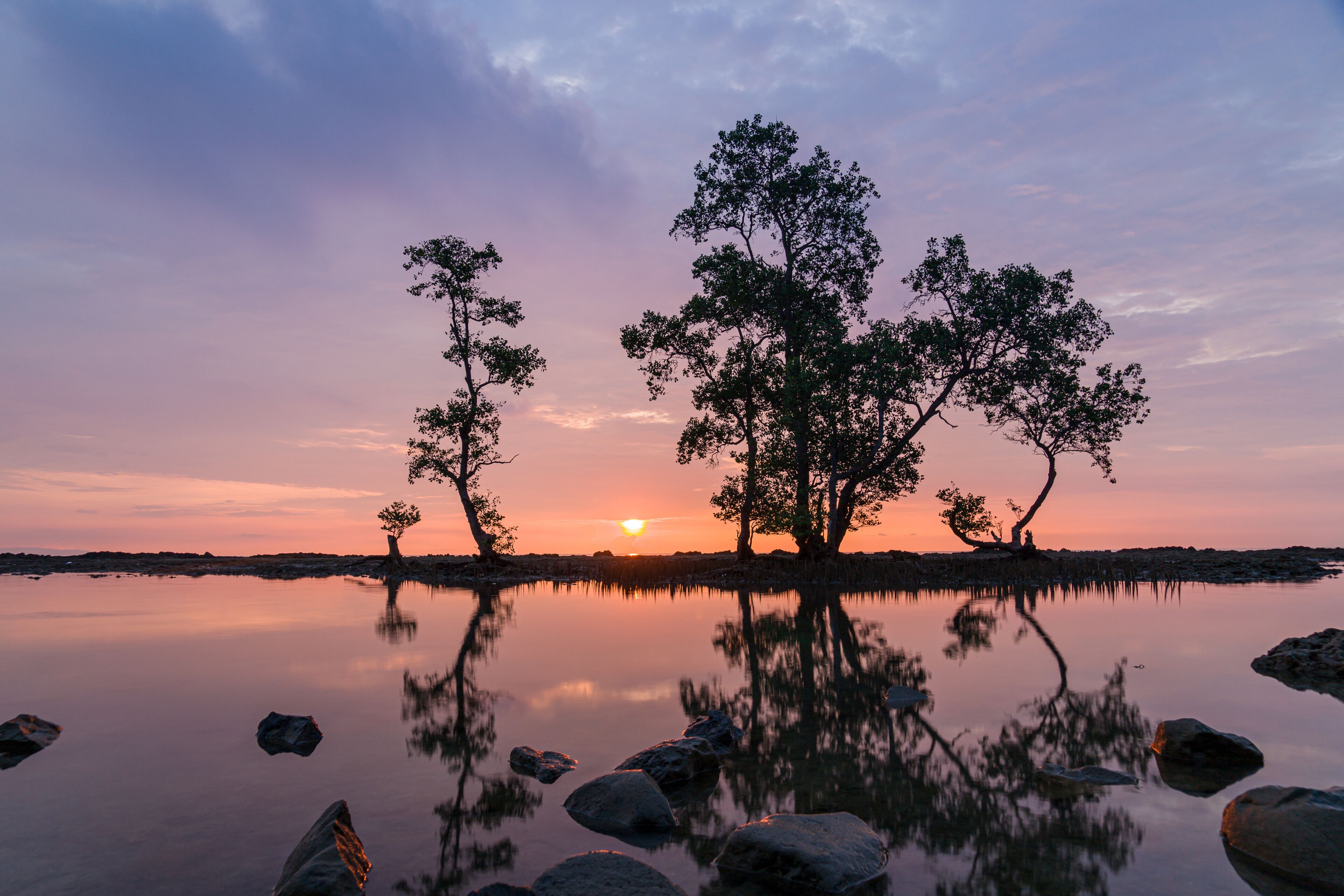 Sunset in a lagoon with trees  in Carita, Anyer, Indonesia