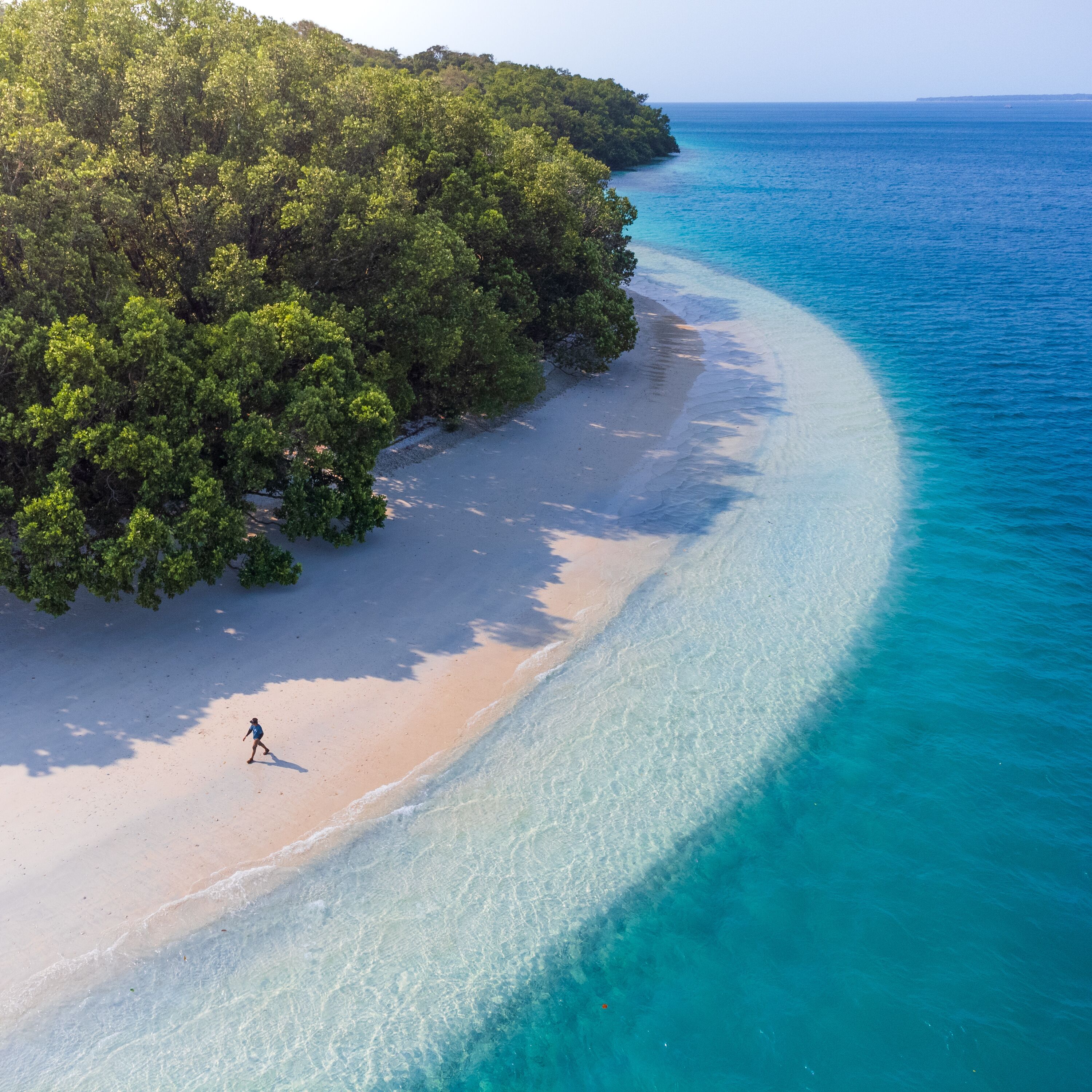 Pulau Peucang, Peucang Island, Ujung Kulon, Banten

This is one of many Islands in Ujung Kulon National Park, Banten, Indonesia.

The beach is so beautiful, also the forest inside the island.