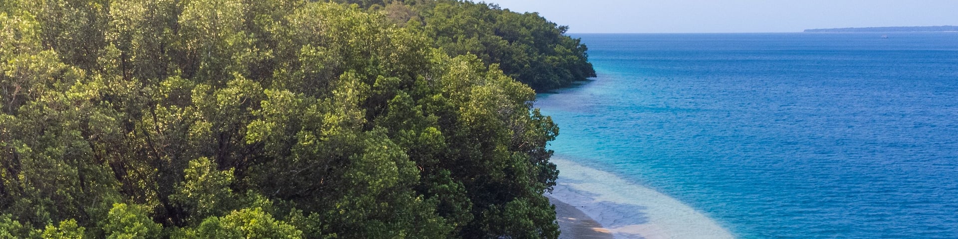 Pulau Peucang, Peucang Island, Ujung Kulon, Banten
This is one of many Islands in Ujung Kulon National Park, Banten, Indonesia.
The beach is so beautiful, also the forest inside the island.
