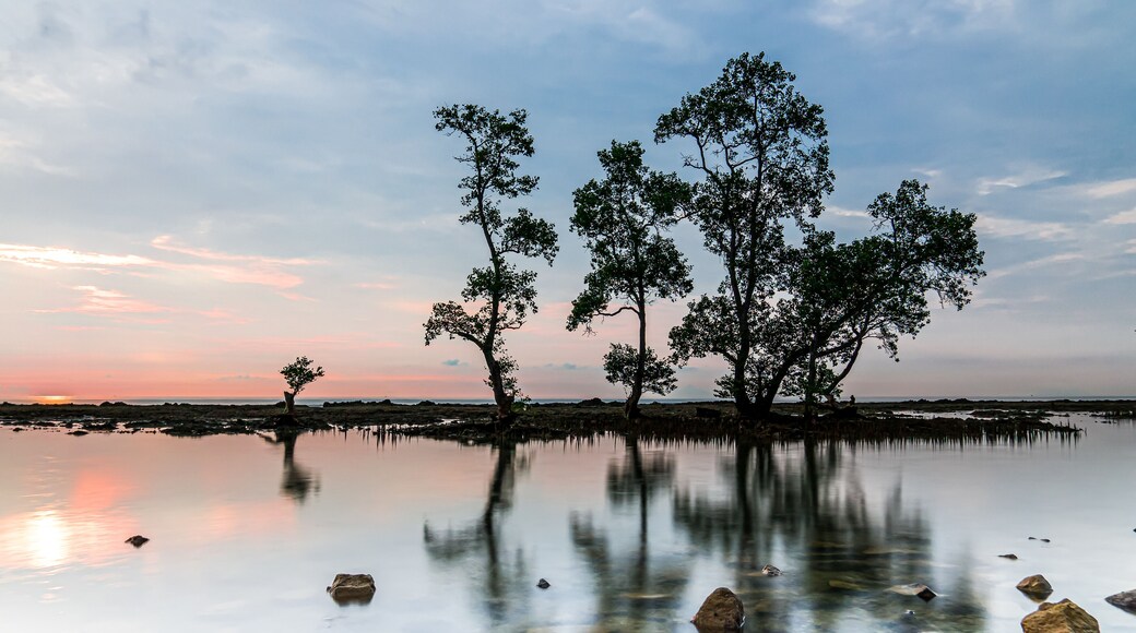 Sunset in a lagoon with trees in Carita, Anyer, Indonesia