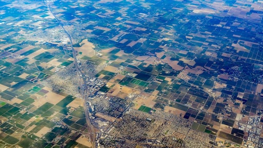 Salida