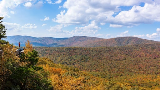 Panoramic view from Tibbet Knob, West Virginia