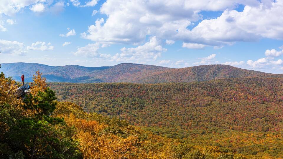 A mountainous landscape with autumn foliage.