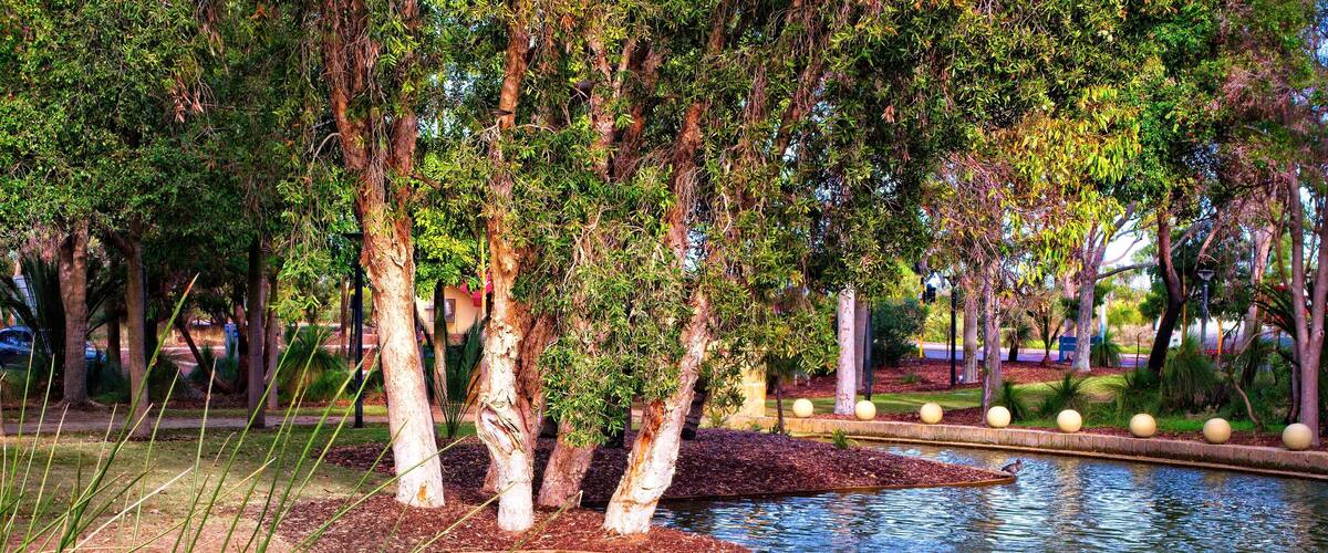 JA455J Joondalup Gardens Perth