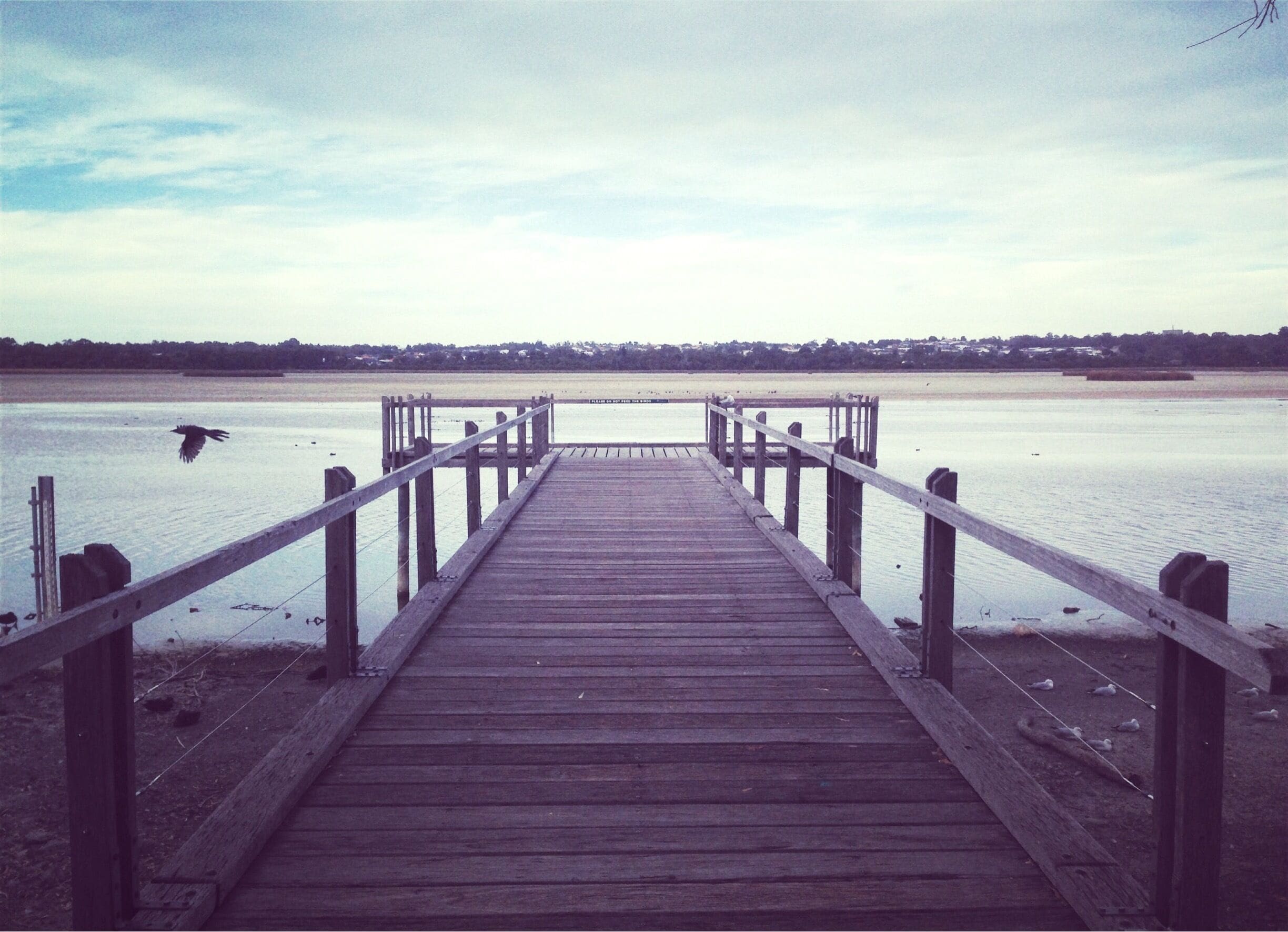 The wetland in Joondalup.