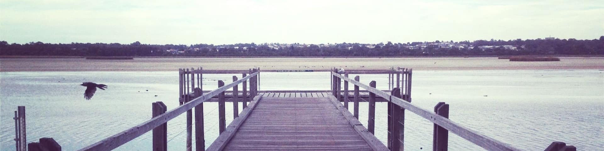The wetland in Joondalup.