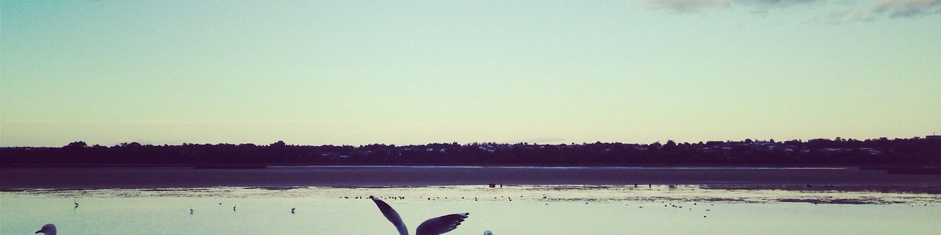 Really love this wetland.