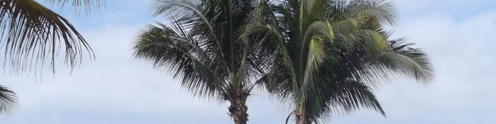 Beautiful island in the middle of the infinity pool! #waterlust
#BeachBound