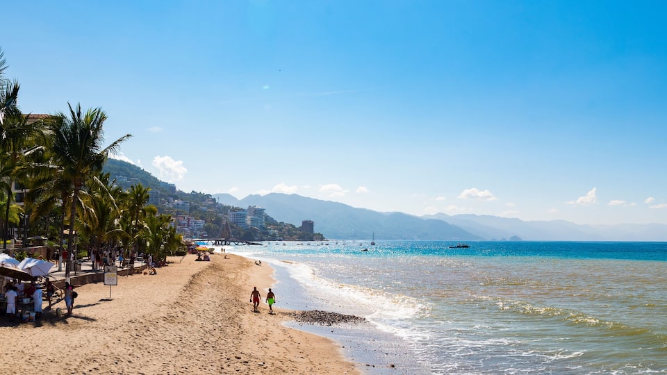 A beach with palm trees, a sandy shore, and boats in the water.