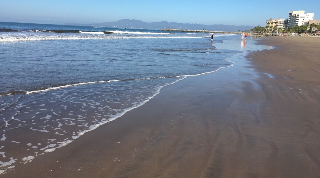 79 degree. Perfect getaway. It's snowing and icy in the northwest so it's perfect timing for me and my girlfriend to escape to Nuevo Vallarta. The weather is warm but not too humid. Food, especially street food is amazing. 12 to 15 pesos for a fresh made taco! That's less than 75 cents!!