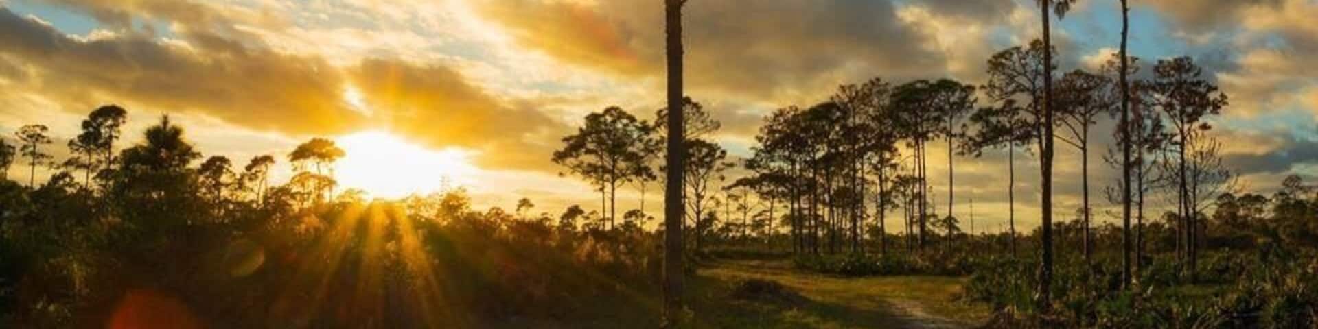 Golden hour just before sunset at Estero Bay Preserve State Park.
#GoldenHour