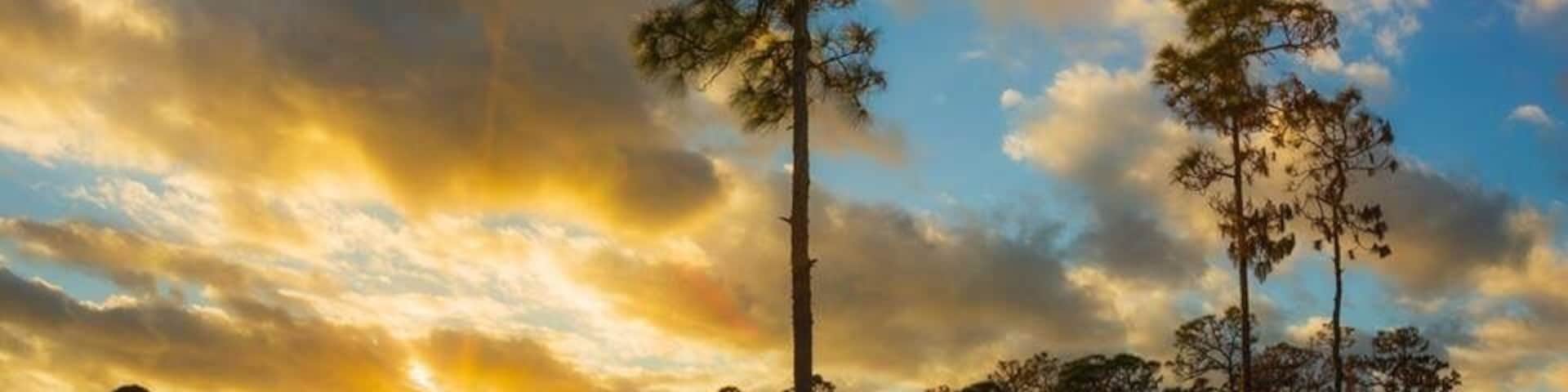 Golden hour just before sunset at Estero Bay Preserve State Park.
#GoldenHour
